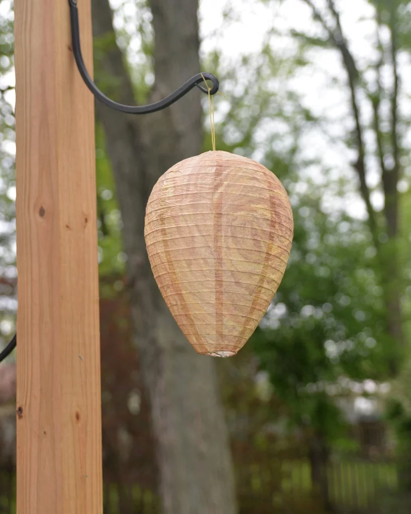 Best Bee Brothers Glass Wasp Trap and Wasp Deterrent Hive (2 Hives) for Wasps and Yellowjackets