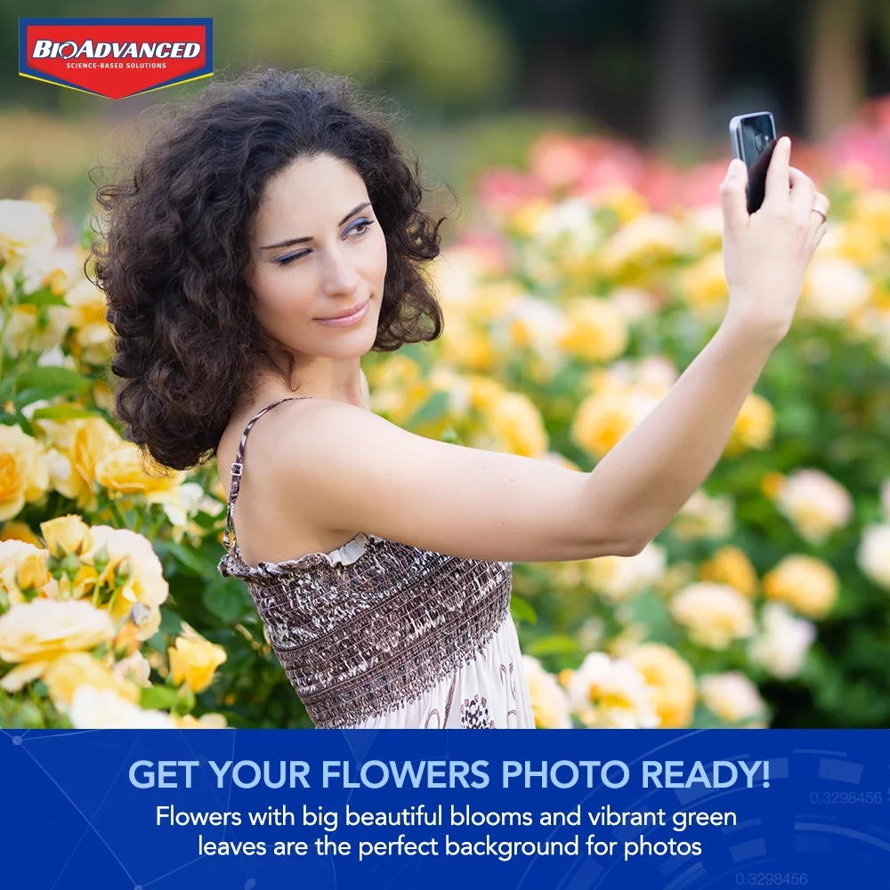 BioAdvanced All in One Rose & Flower Care 4lb Granule Fertilize and Protect