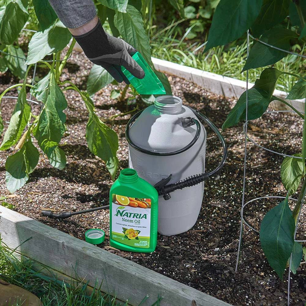 Natria 706240A Organic Plant Protection From Pests and Diseases Neem Oil Concentrate 24 Oz, 24-Ounce NEW