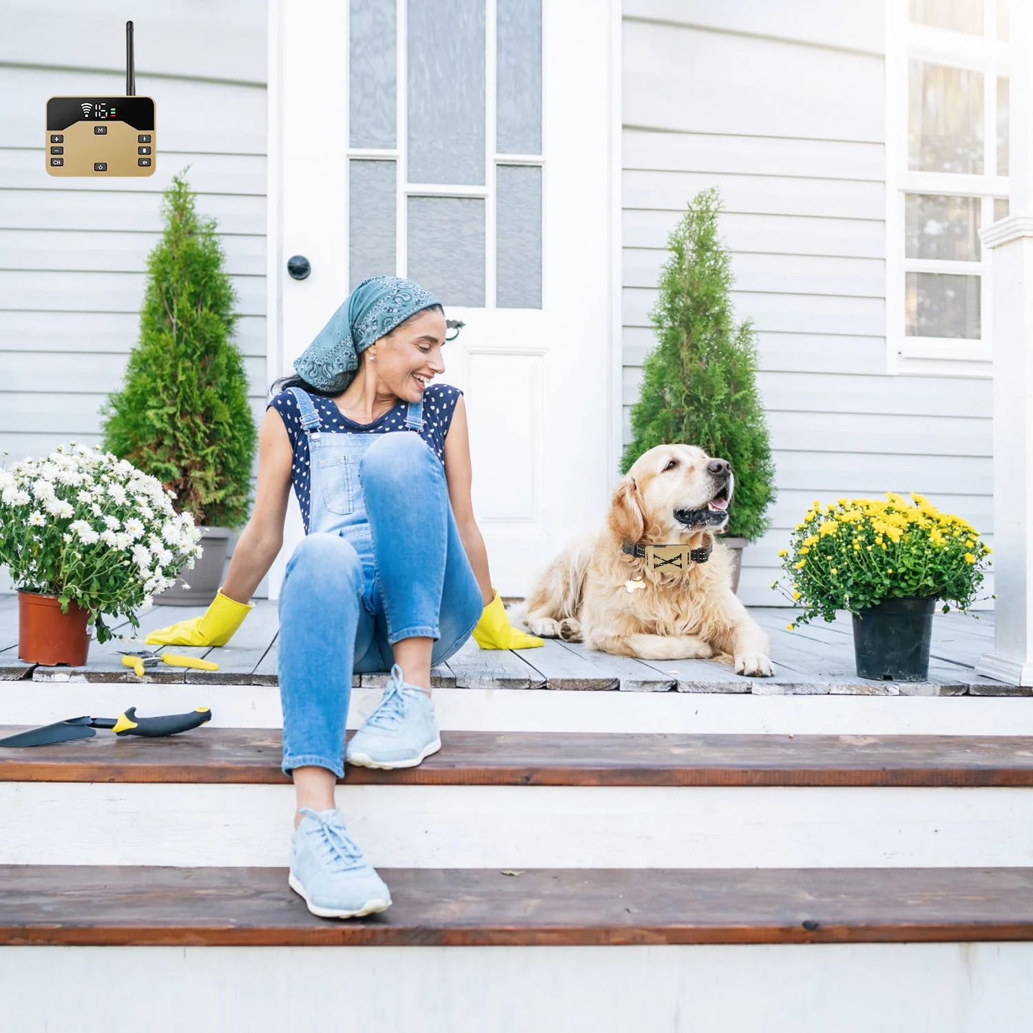 Wireless Dog Fence Collar System iMounTEK 2 In 1 Electric Pet Boundary Containment Rechargeable IPX6 Waterproof Support 20-850ft Suitable with 1 Receiver Collars for 15-120LBS Dogs Gold