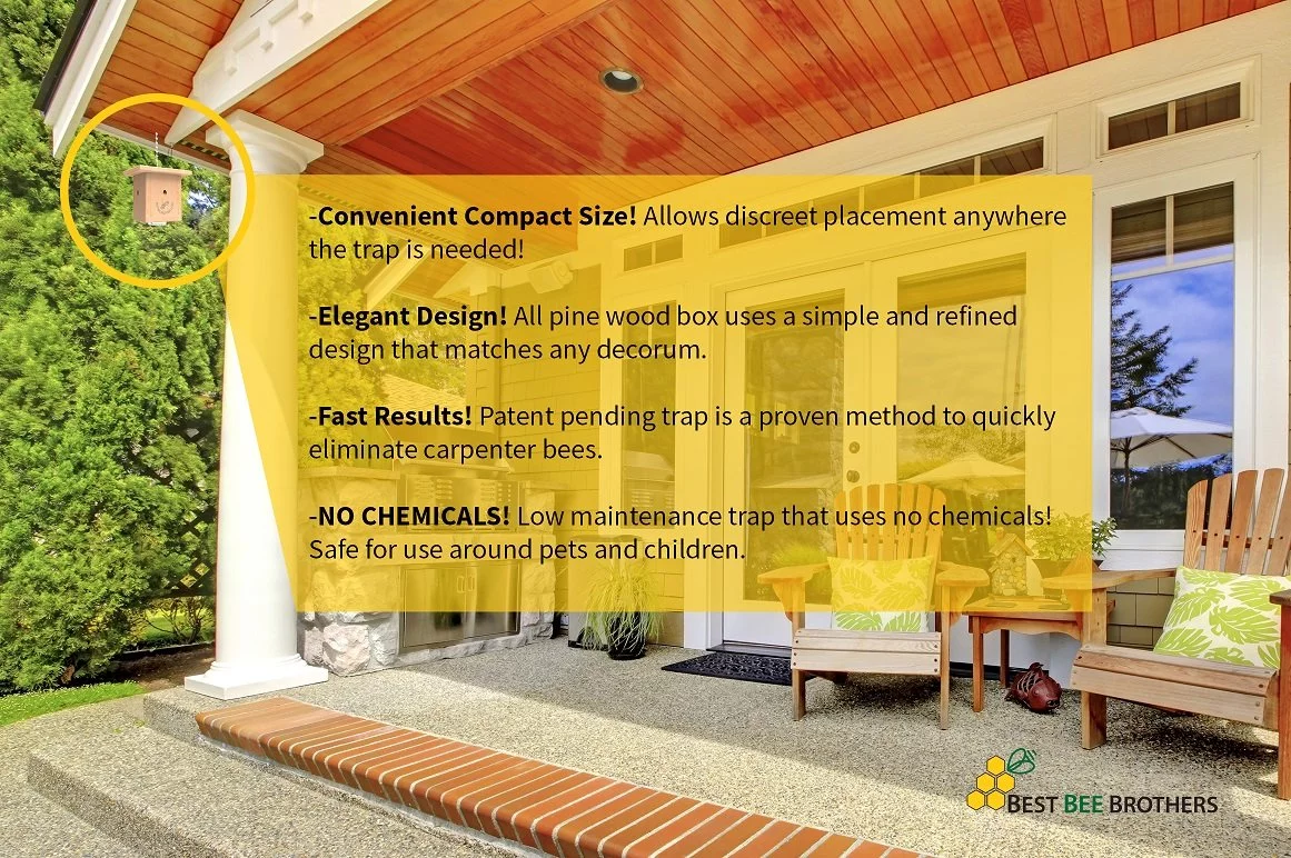 Best Bee Brothers Pine Wood Carpenter Bee Box Trap