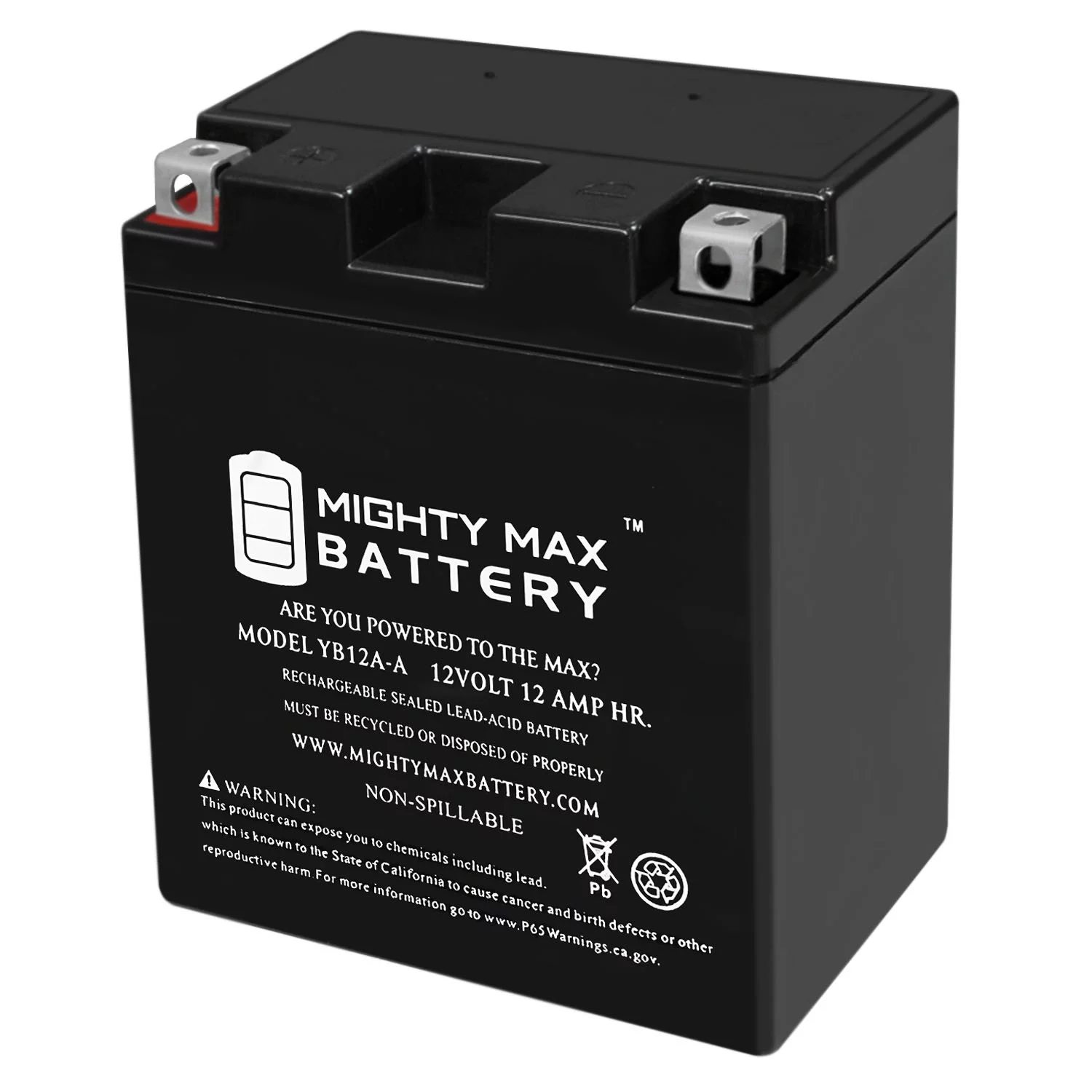YB12A-A -12 Volt 12 AH, 165 CCA, Rechargeable Maintenance Free SLA AGM Motorcycle Battery