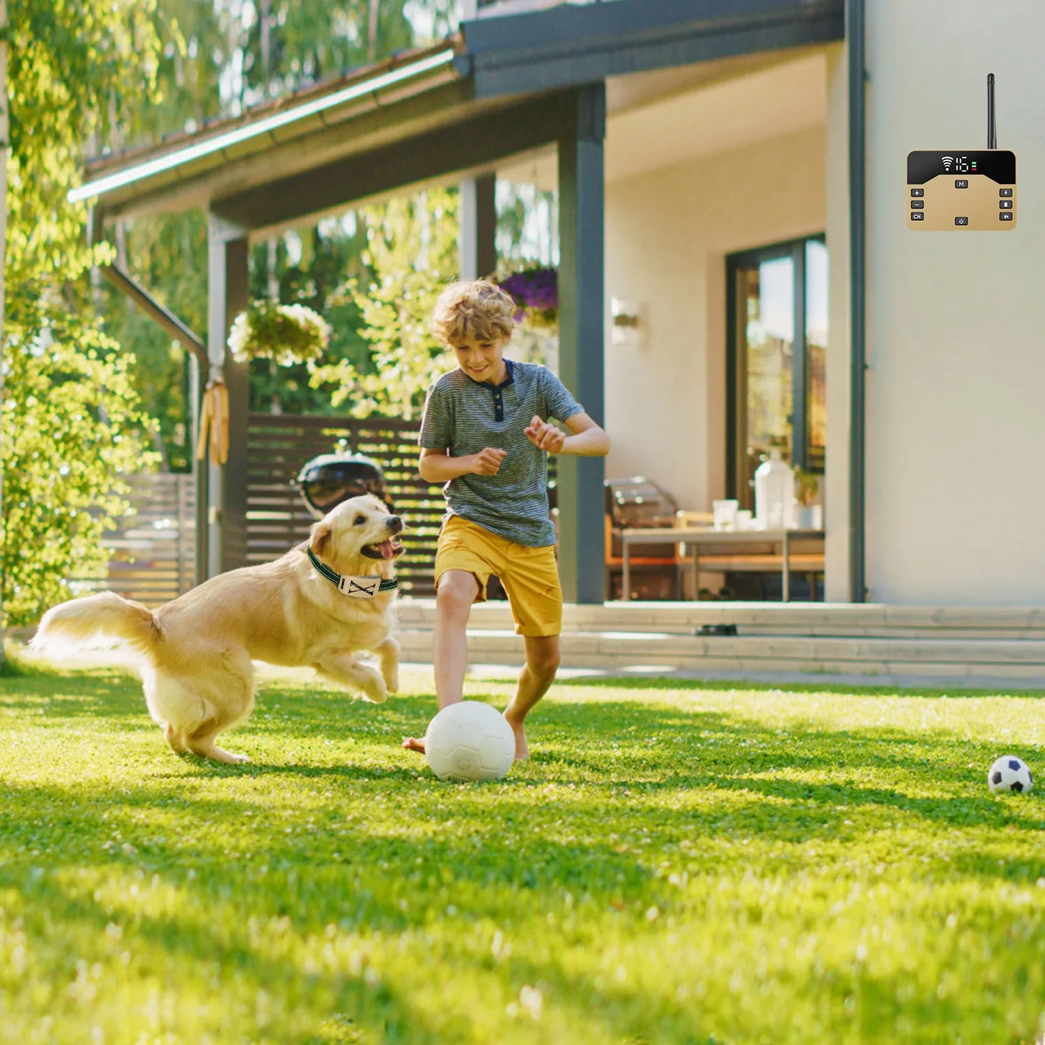 Wireless Dog Fence Collar System iMounTEK 2 In 1 Electric Pet Boundary Containment Rechargeable IPX6 Waterproof Support 20-850ft Suitable with 1 Receiver Collars for 15-120LBS Dogs Gold