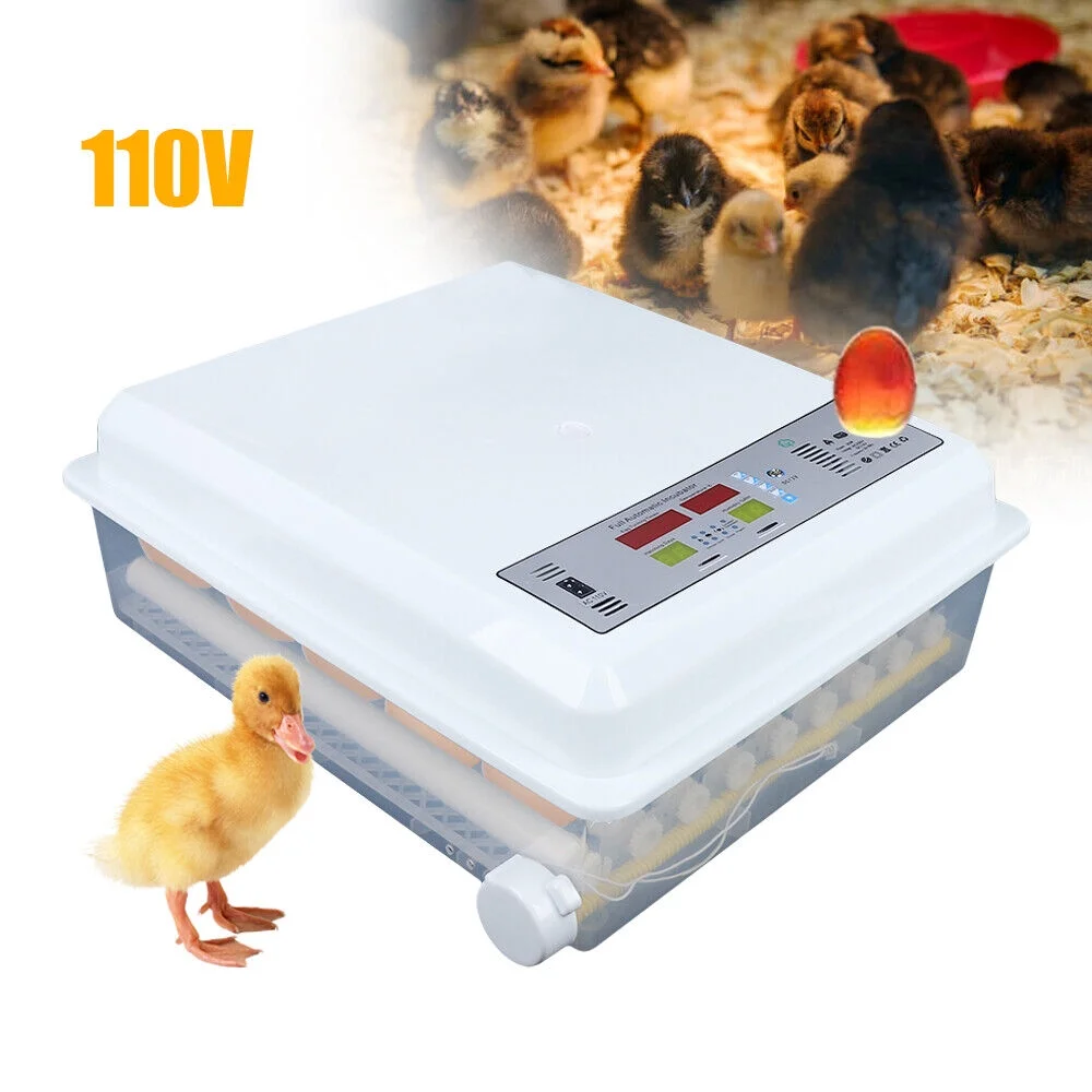 Egg Incubator 64 Eggs Fully Digital Automatic Hatcher Fits Hatching Chicken Farm