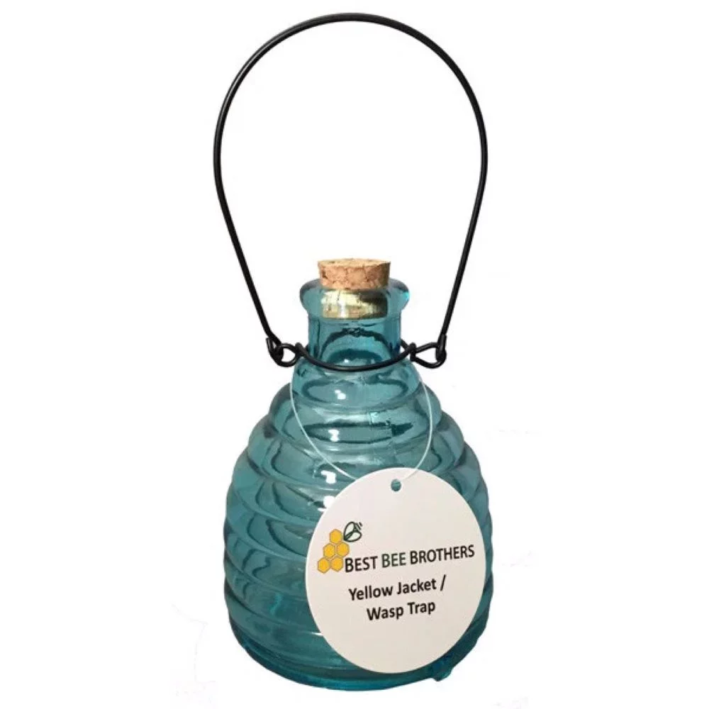 Best Bee Brothers Glass Wasp Trap and Wasp Deterrent Hive (2 Hives) for Wasps and Yellowjackets