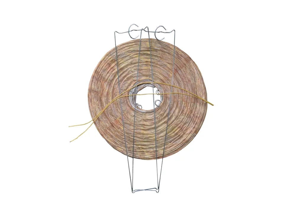 Best Bee Brothers Glass Wasp Trap and Wasp Deterrent Hive (2 Hives) for Wasps and Yellowjackets