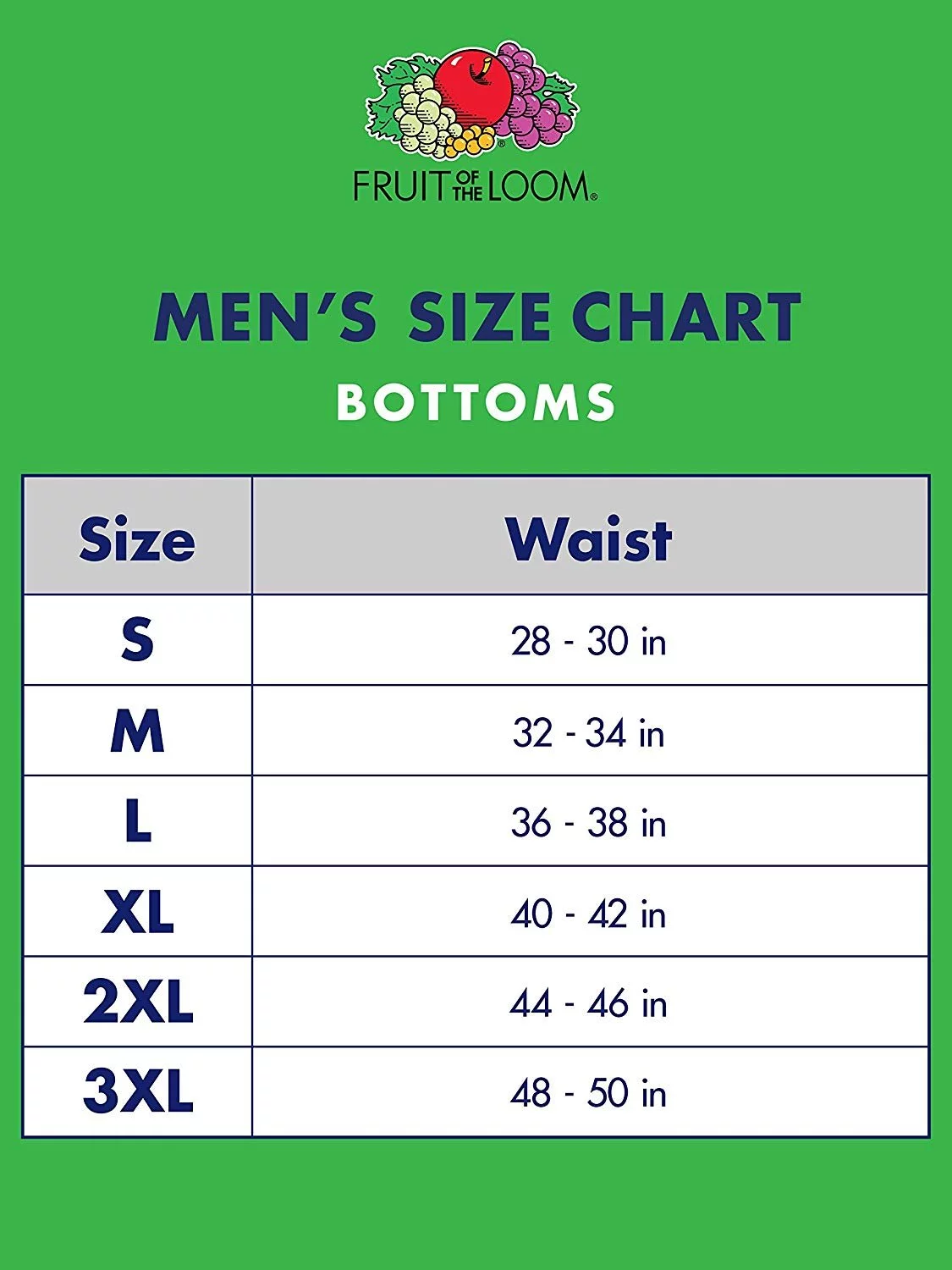 Fruit of the Loom Men's 100% Cotton Assorted Dual Defense Fashion Briefs