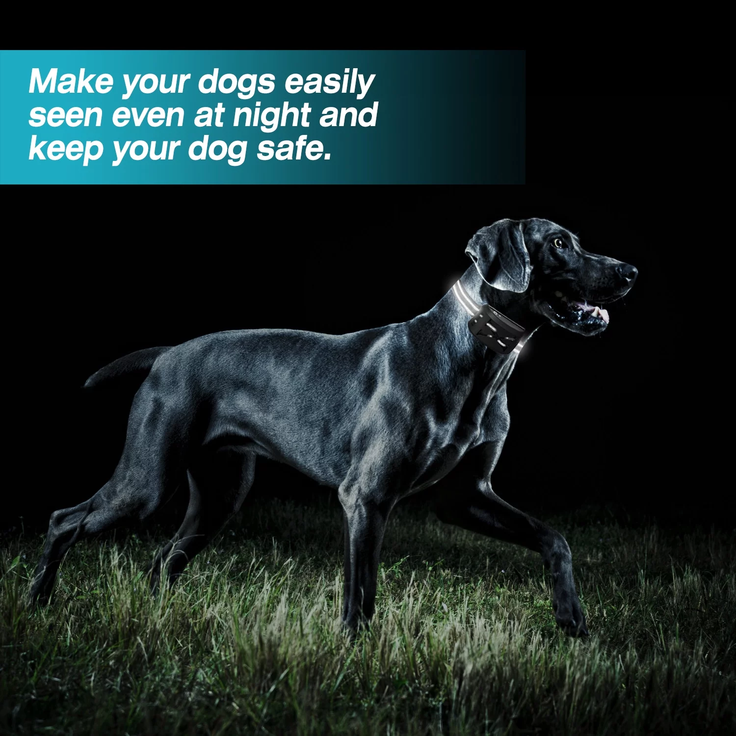 Wireless Dog Fence Collar System iMounTEK 2 In 1 Electric Pet Boundary Containment Rechargeable IPX6 Waterproof Support 20-850ft Suitable with 1 Receiver Collars for 15-120LBS Dogs Gold