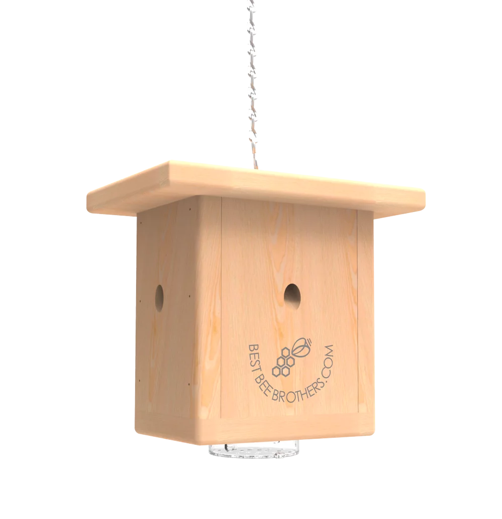 Best Bee Brothers Pine Wood Carpenter Bee Box Trap