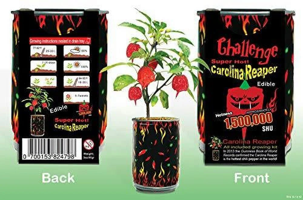 Challenge Super Hot Carolina Reaper Plant Kit one color
