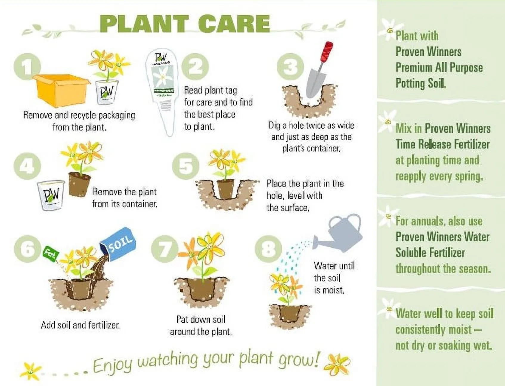 Storm Cloud Bluestar (Amsonia) Live Plant, Blue Flowers, 1 Gal.