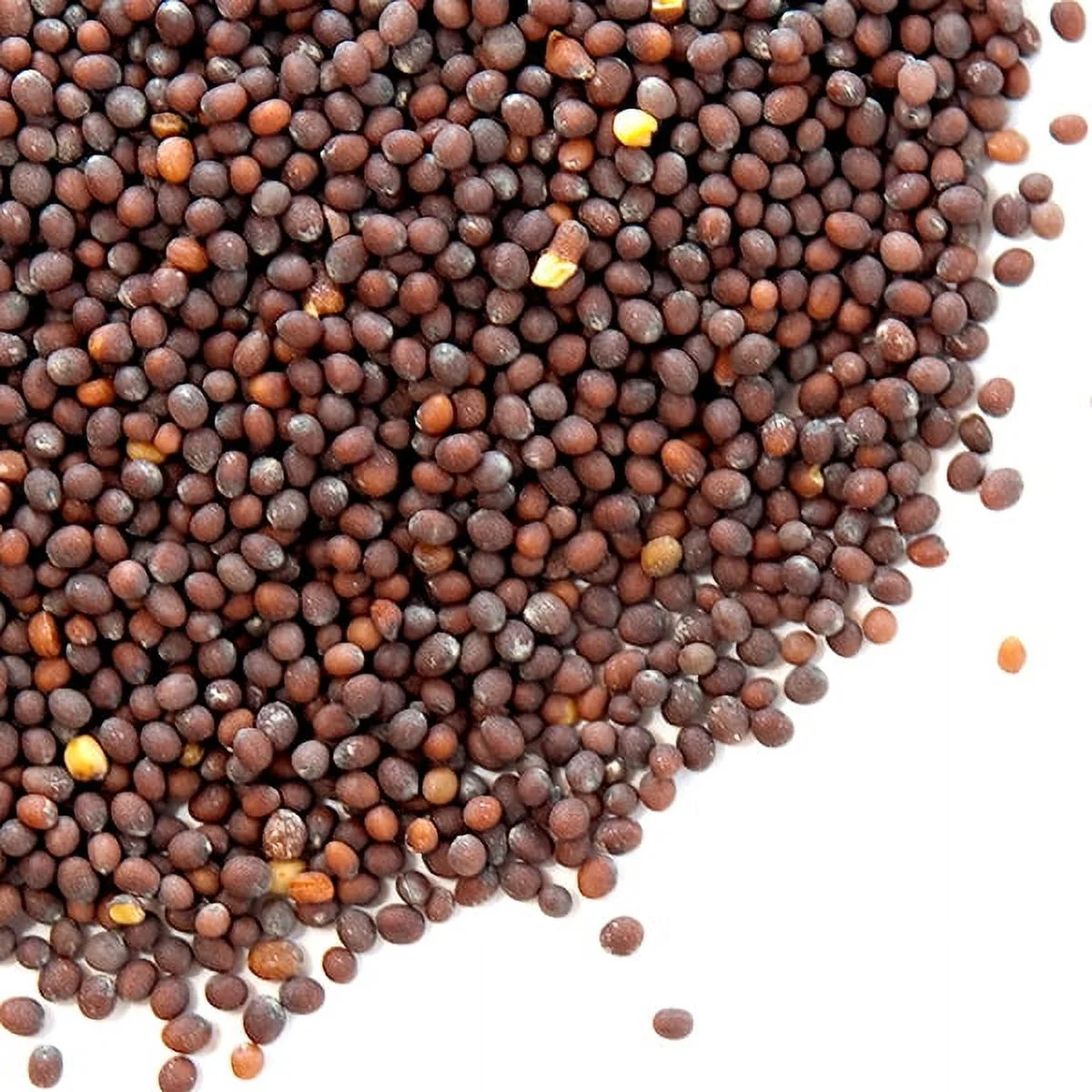 Mustard Seeds, Brown