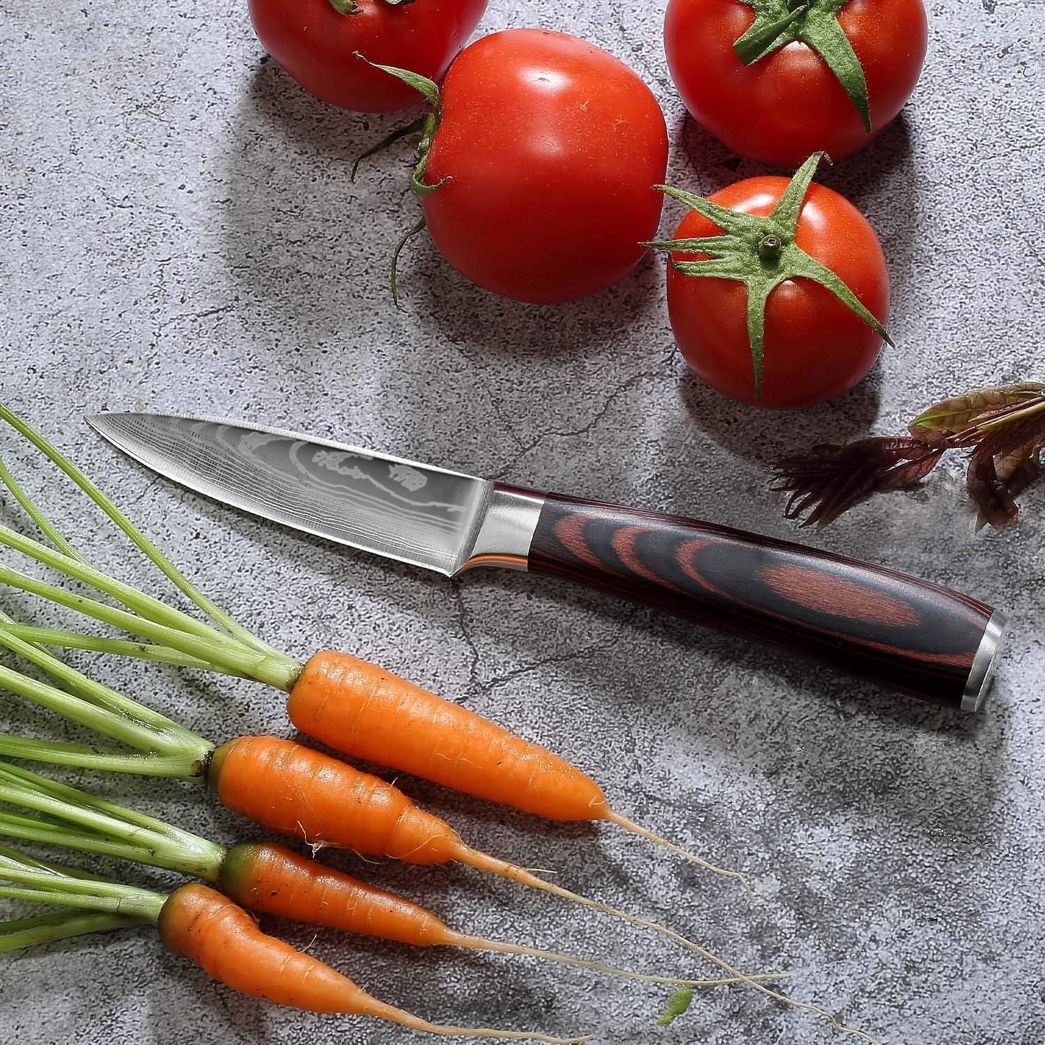 SHIYUAN Paring Knife 3.5 Inch, Small Kitchen Knife, High Carbon Stainless Steel Fruit Knife, Ultra Sharp Knife for Cutting and Peeling, Ergonomic Pakkawood Handle