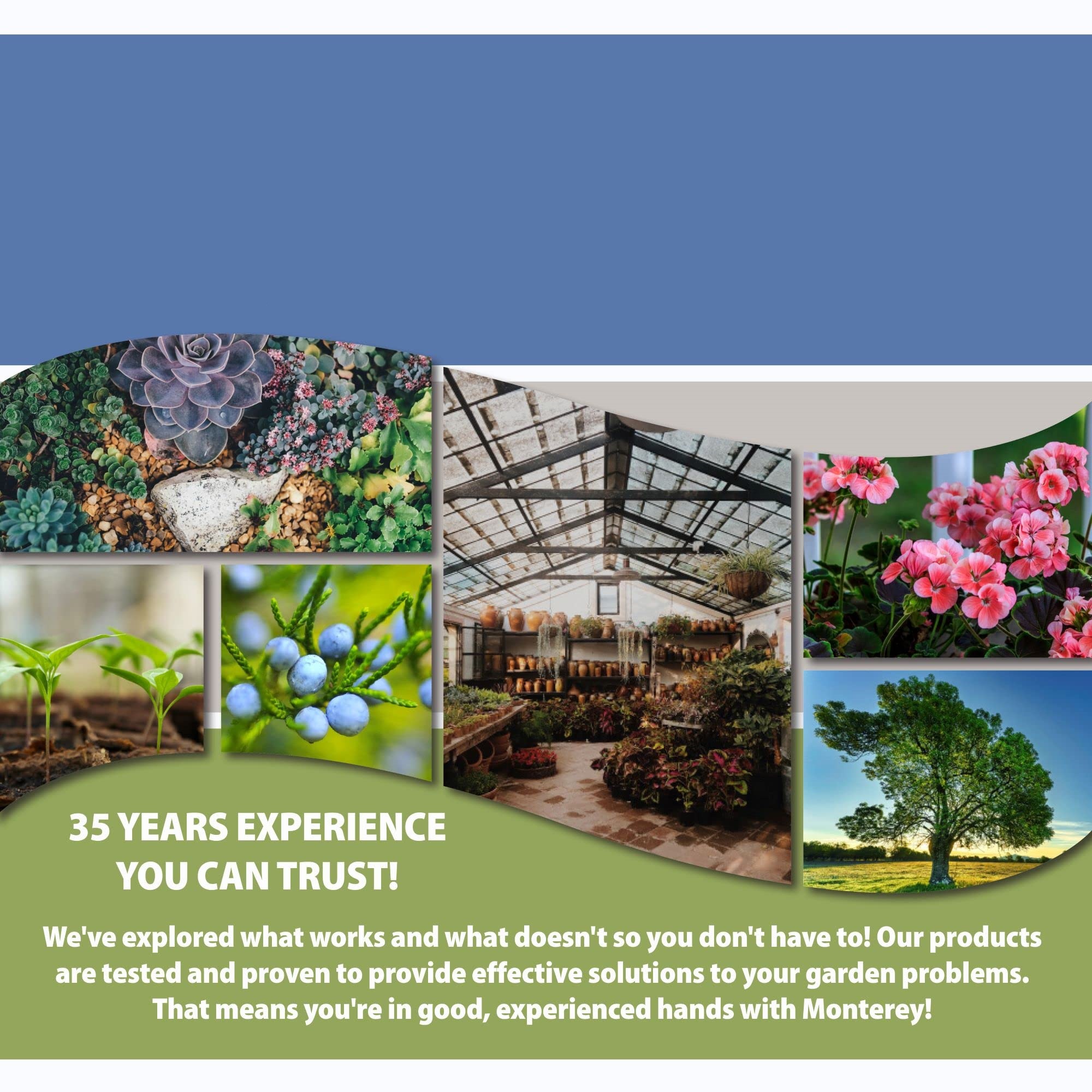 Florel Plant Growth Regulator - Fruit Tree Spray - Florel Fruit Eliminator Spray for Trees - Apply Using Sprayer - 1 Quart