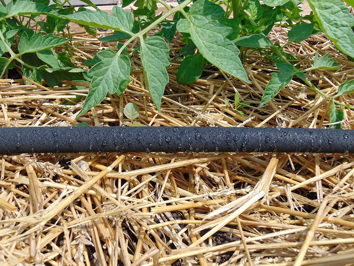 Dramm 17061 Ring Soaker Hose, 5 Foot, Black