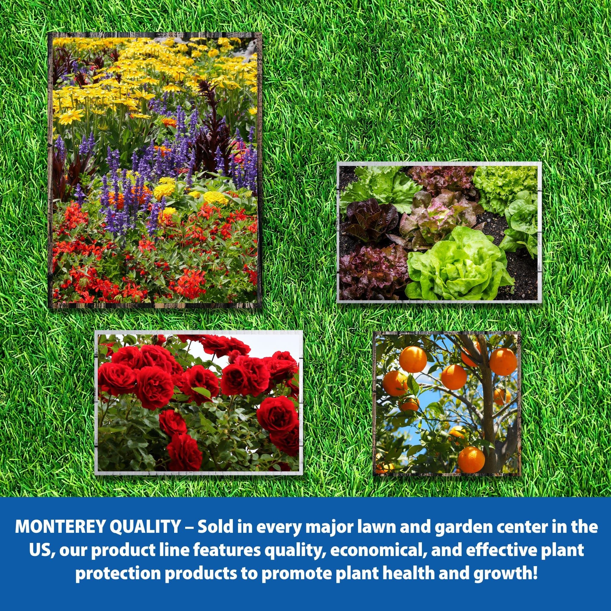 Florel Plant Growth Regulator - Fruit Tree Spray - Florel Fruit Eliminator Spray for Trees - Apply Using Sprayer - 1 Quart