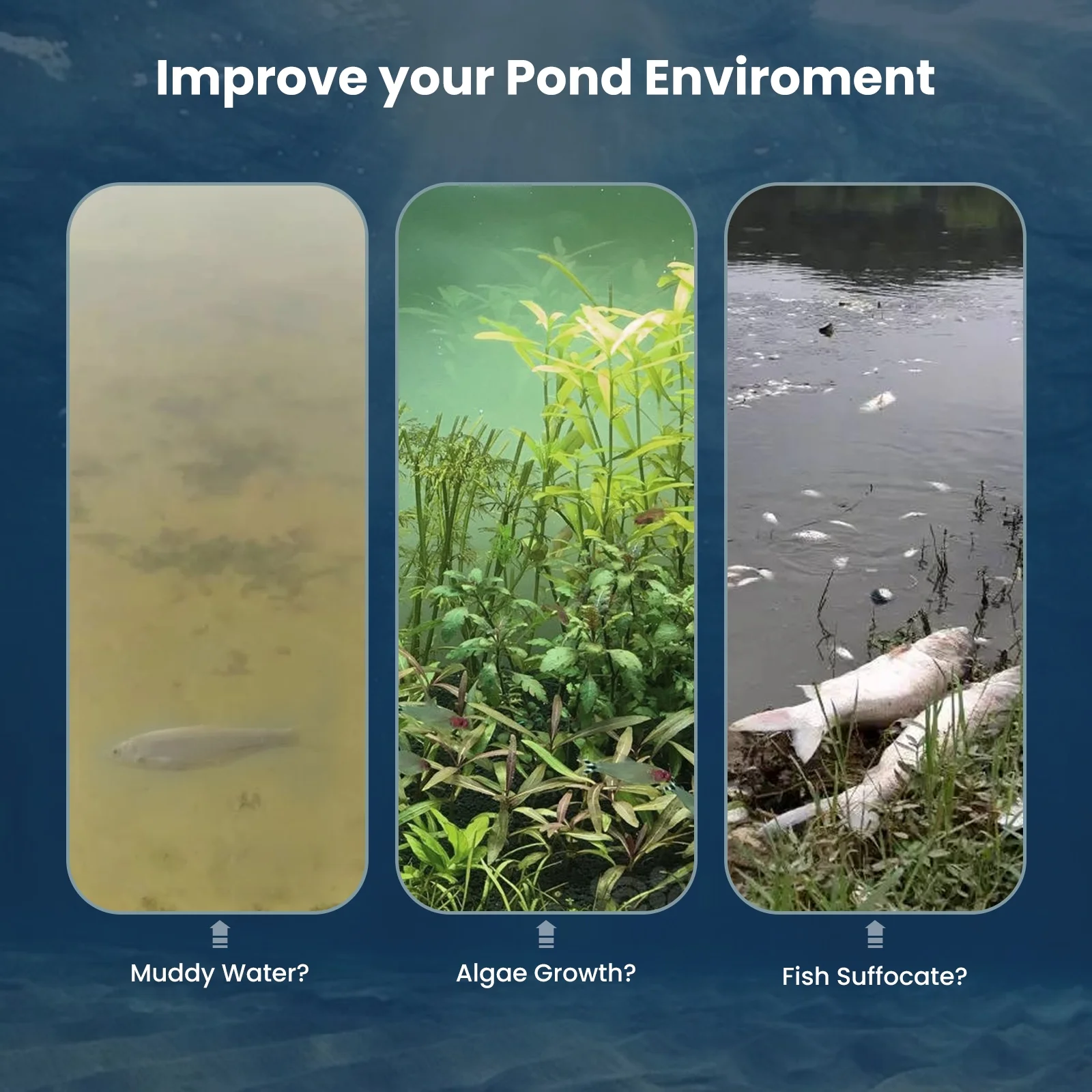 WRSTER-TECH 3/4 HP 5.2CFM Pond Aerator Lake Compressor Timer 200' Tube 2 Diffusers System 550W 3 Acre