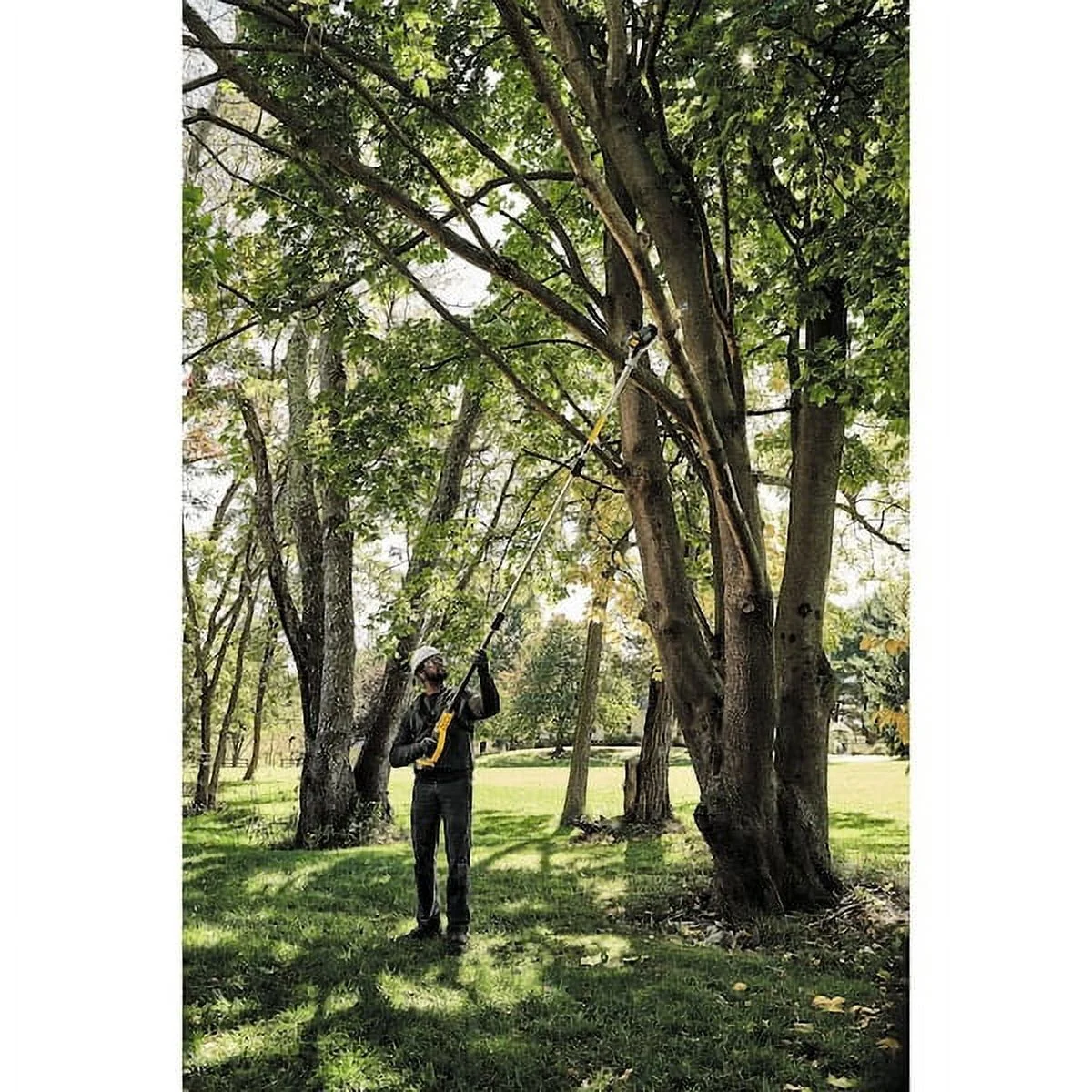 DEWALT 20V MAX XR Brushless Li-Ion Cordless Pole Saw (Tool Only) New DCPS620B