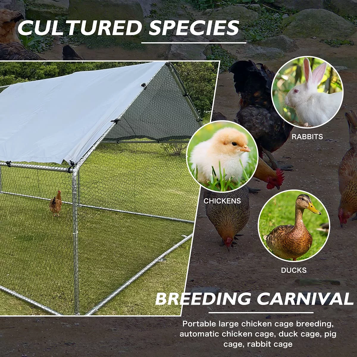 Geeloon Extra Large Chicken Coop Run Pen Cage Hen House W/ Cover 10x7ft, Metal, Walk in