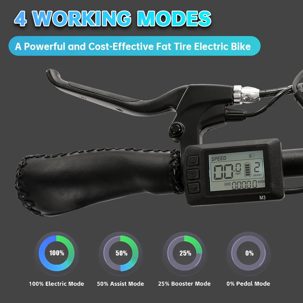 ECOTRIC 20