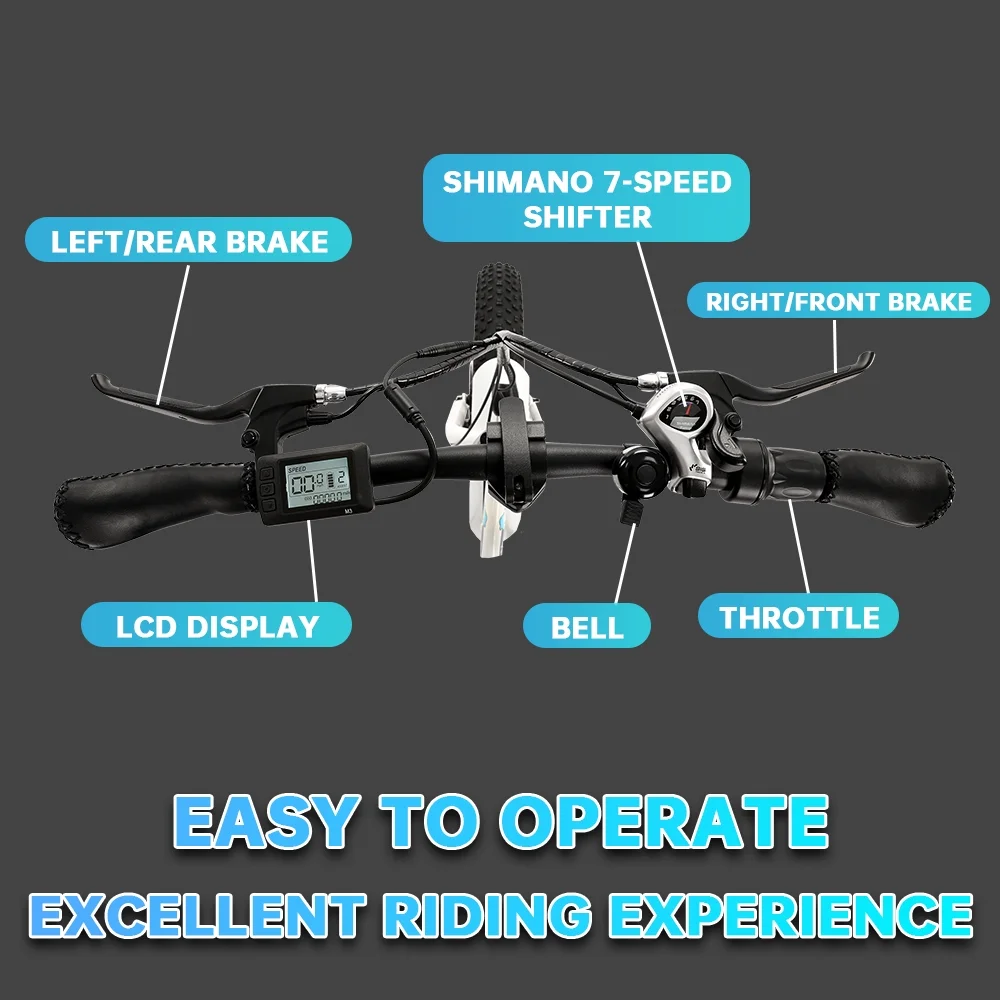 ECOTRIC 20