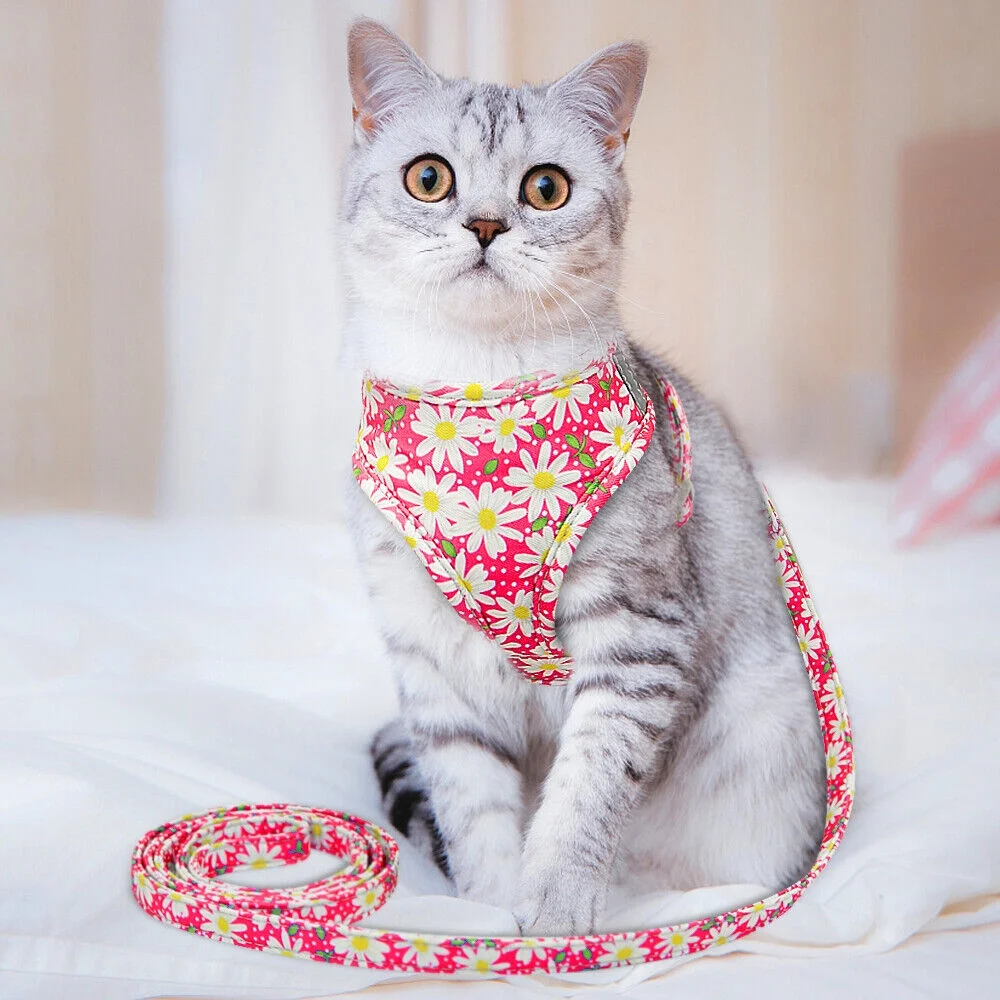 Floral Small Dog Harness and Leash Set Reflective Pet Cat Walking Vest Harnesses