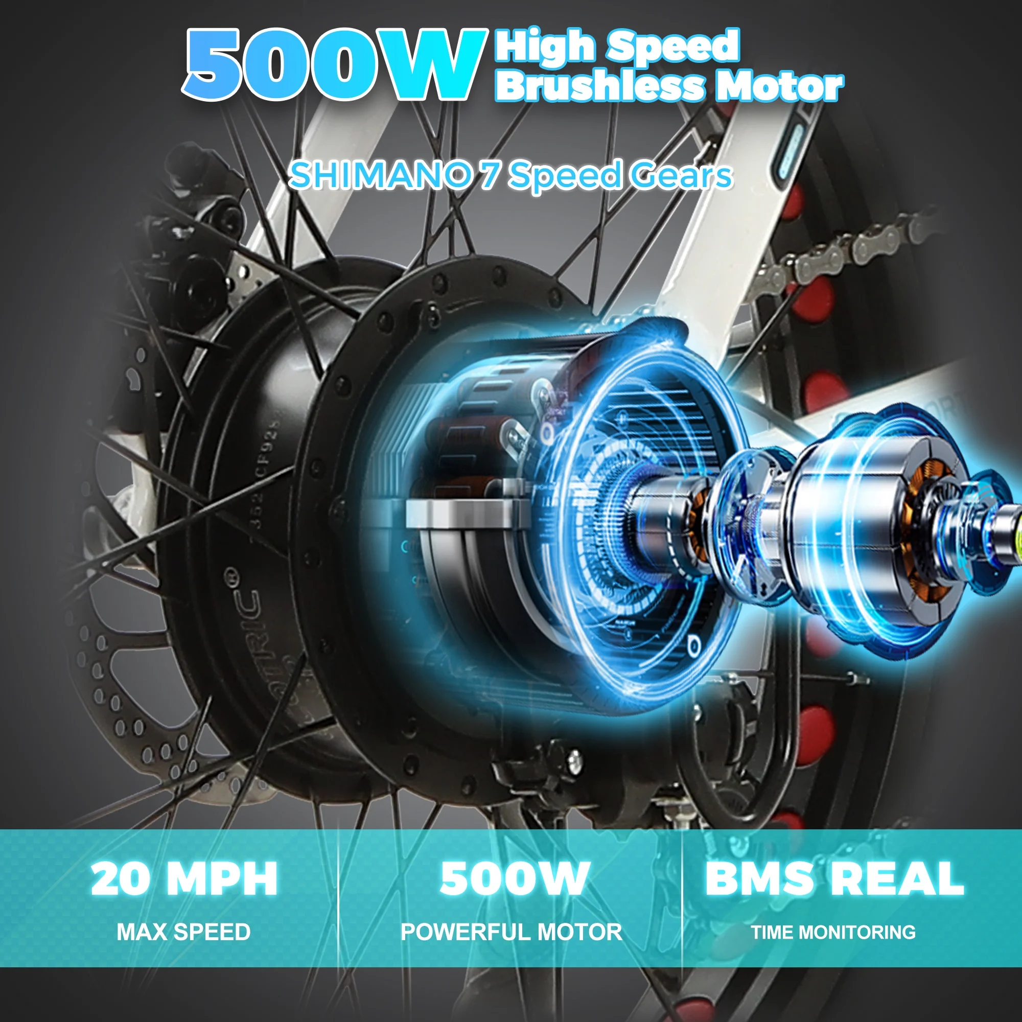 ECOTRIC 20
