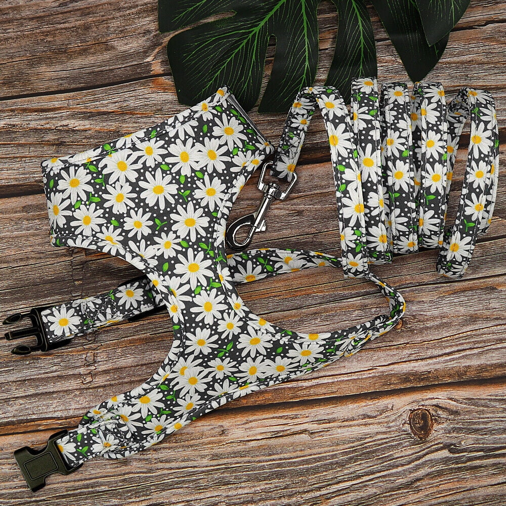 Floral Small Dog Harness and Leash Set Reflective Pet Cat Walking Vest Harnesses