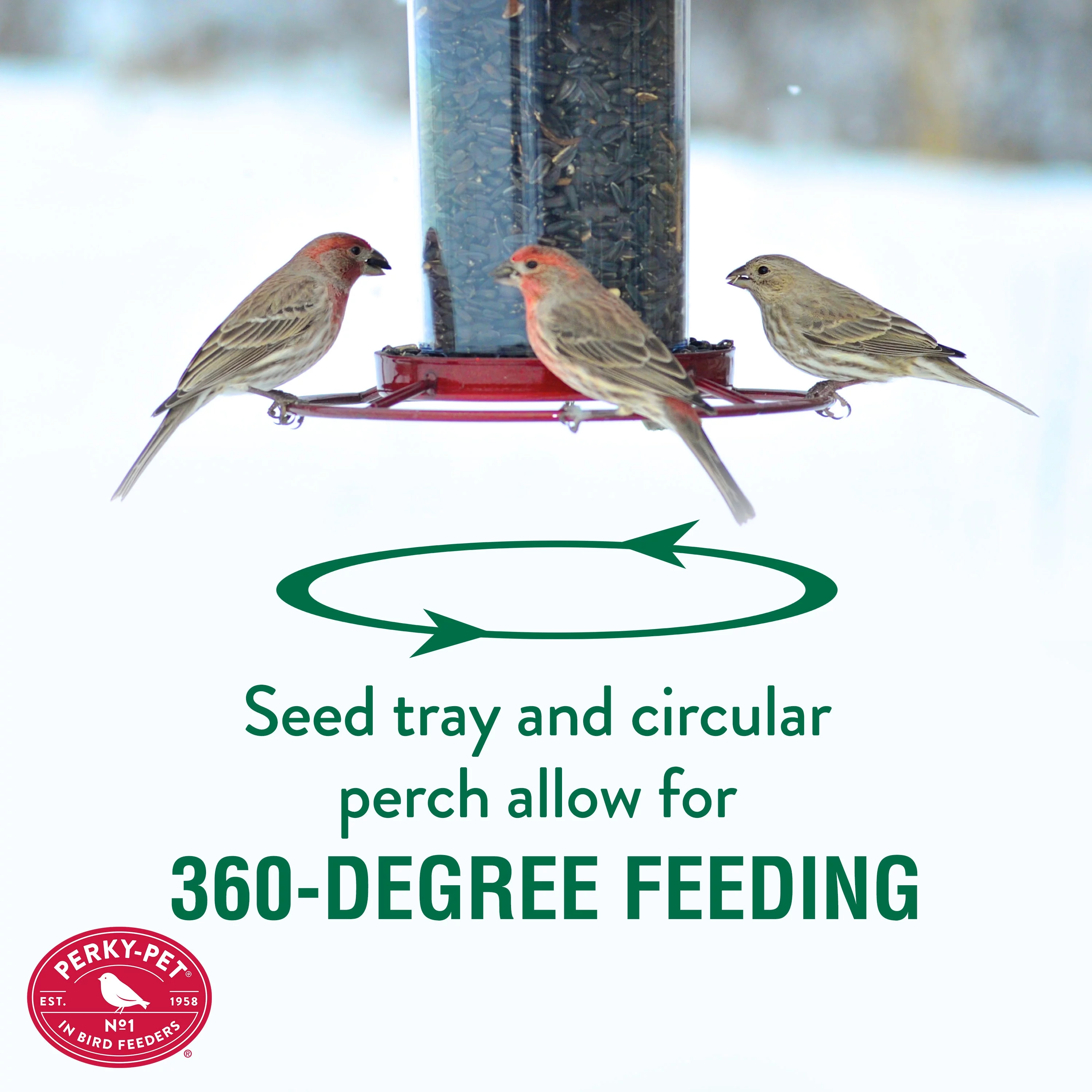 Perky-Pet Red Panorama Wild Bird Seed Feeder - 2 lb Capacity