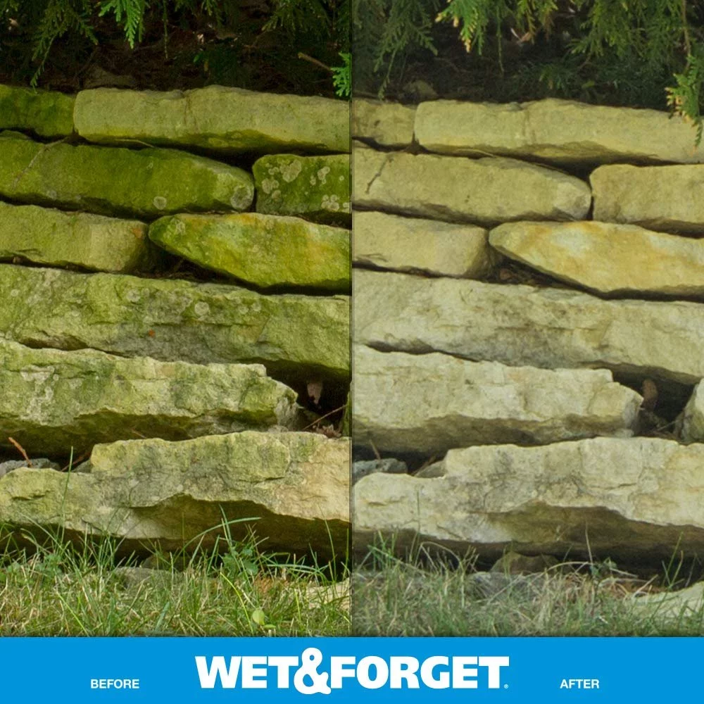Wet and Forget Moss, Mold, Mildew & Algae Stain Remover, 1 Gallon Concentrate Make 6 Gallons - 3 Pack