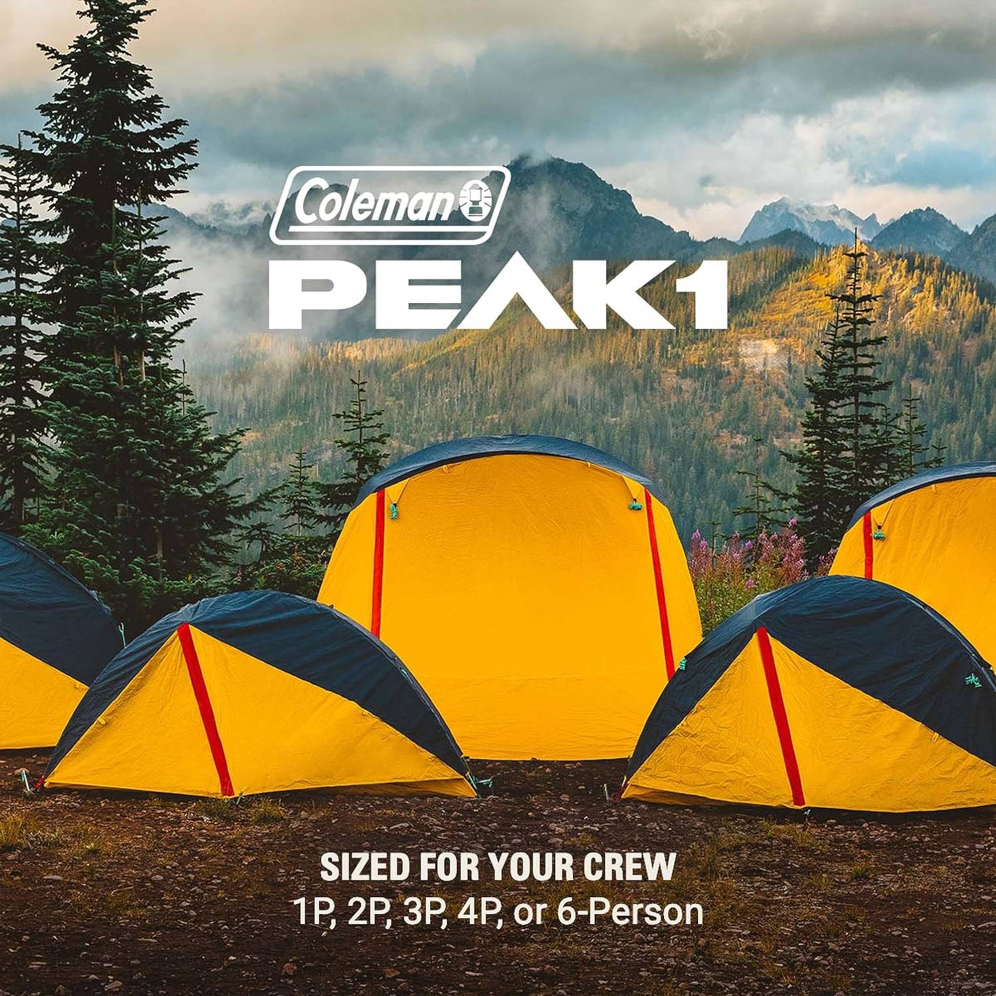 Coleman PEAK1 Premium 4 Person Backpacking Tent w/Waterproof Fabric