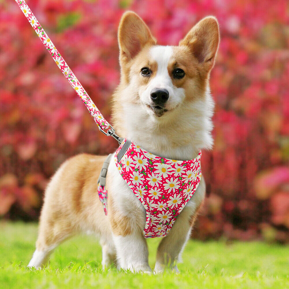 Floral Small Dog Harness and Leash Set Reflective Pet Cat Walking Vest Harnesses