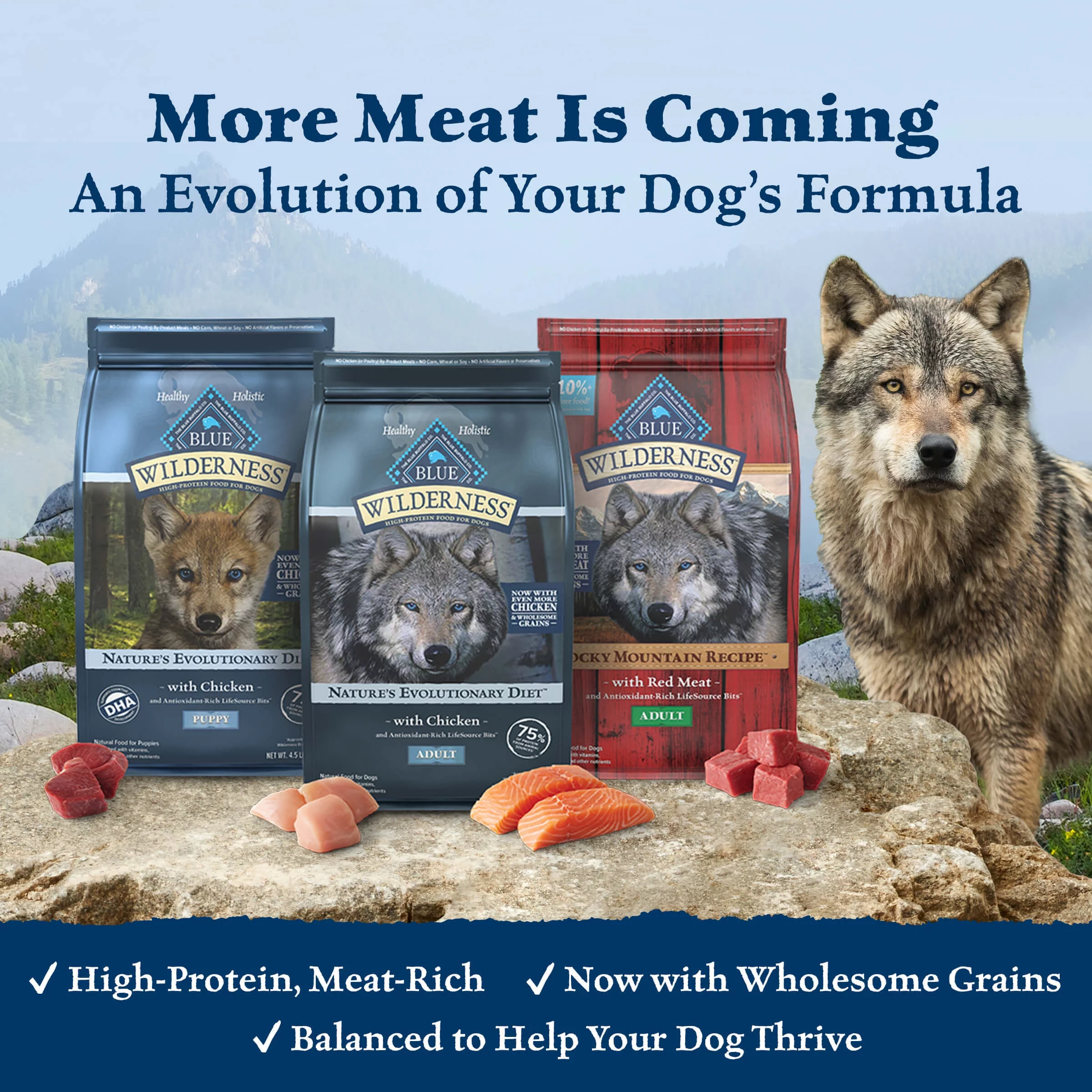 Blue Buffalo Wilderness High Protein Chicken Dry Dog Food for Adult Dogs, Grain-Free, 20 lb. Bag