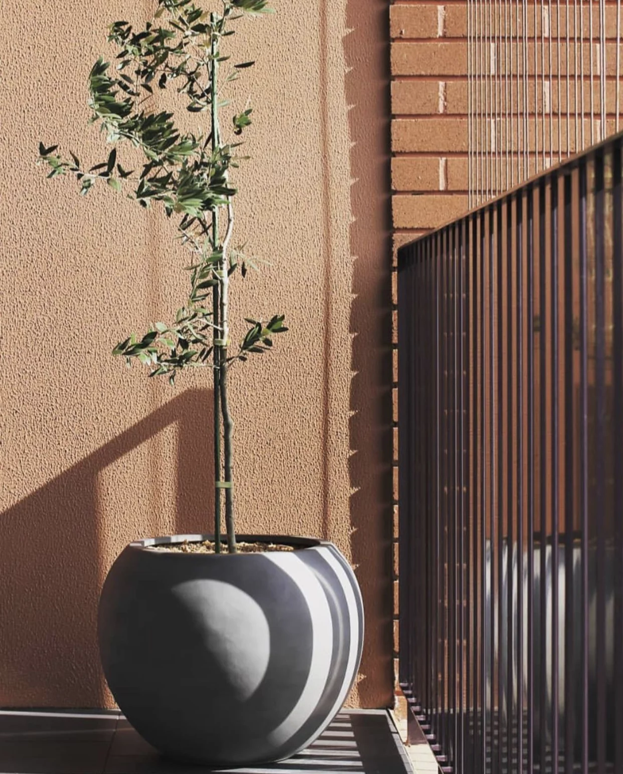 DTY Signature Mount Sherman 1-Piece Fiberstone Planter, Terracotta Pink, 17