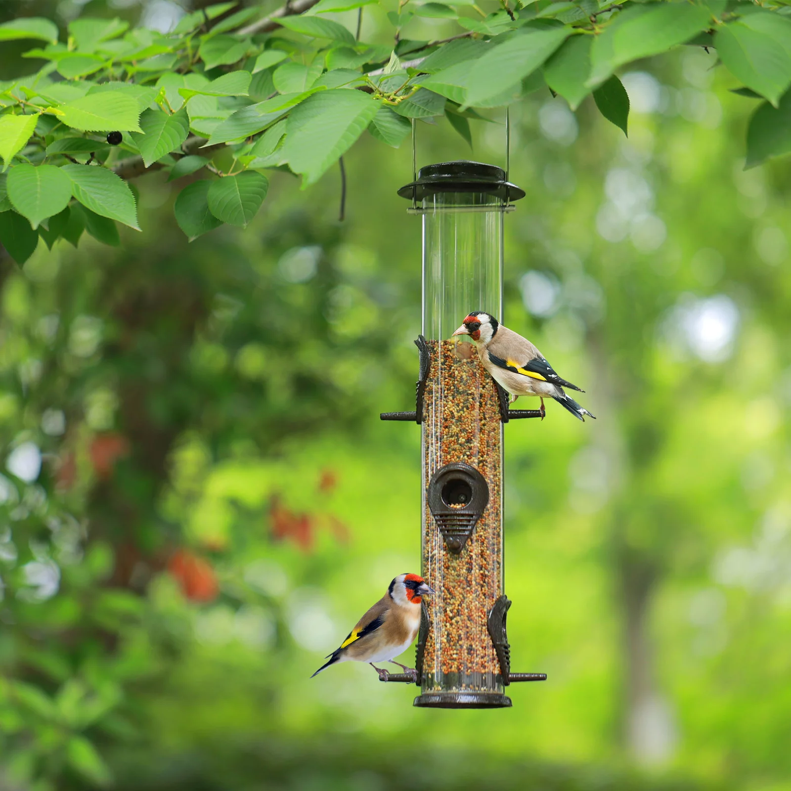 Urban Deco Metal Bird Feeder Tube Hanging Wild Bird Seed Feeder, Steel Hanger Great for Attracting Birds (Coffee)