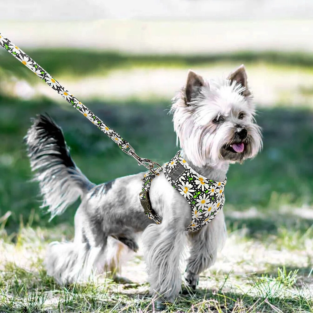 Floral Small Dog Harness and Leash Set Reflective Pet Cat Walking Vest Harnesses