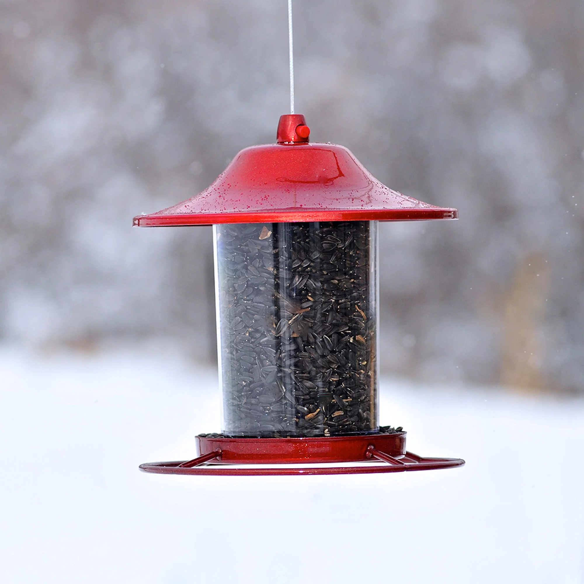 Perky-Pet Red Panorama Wild Bird Seed Feeder - 2 lb Capacity