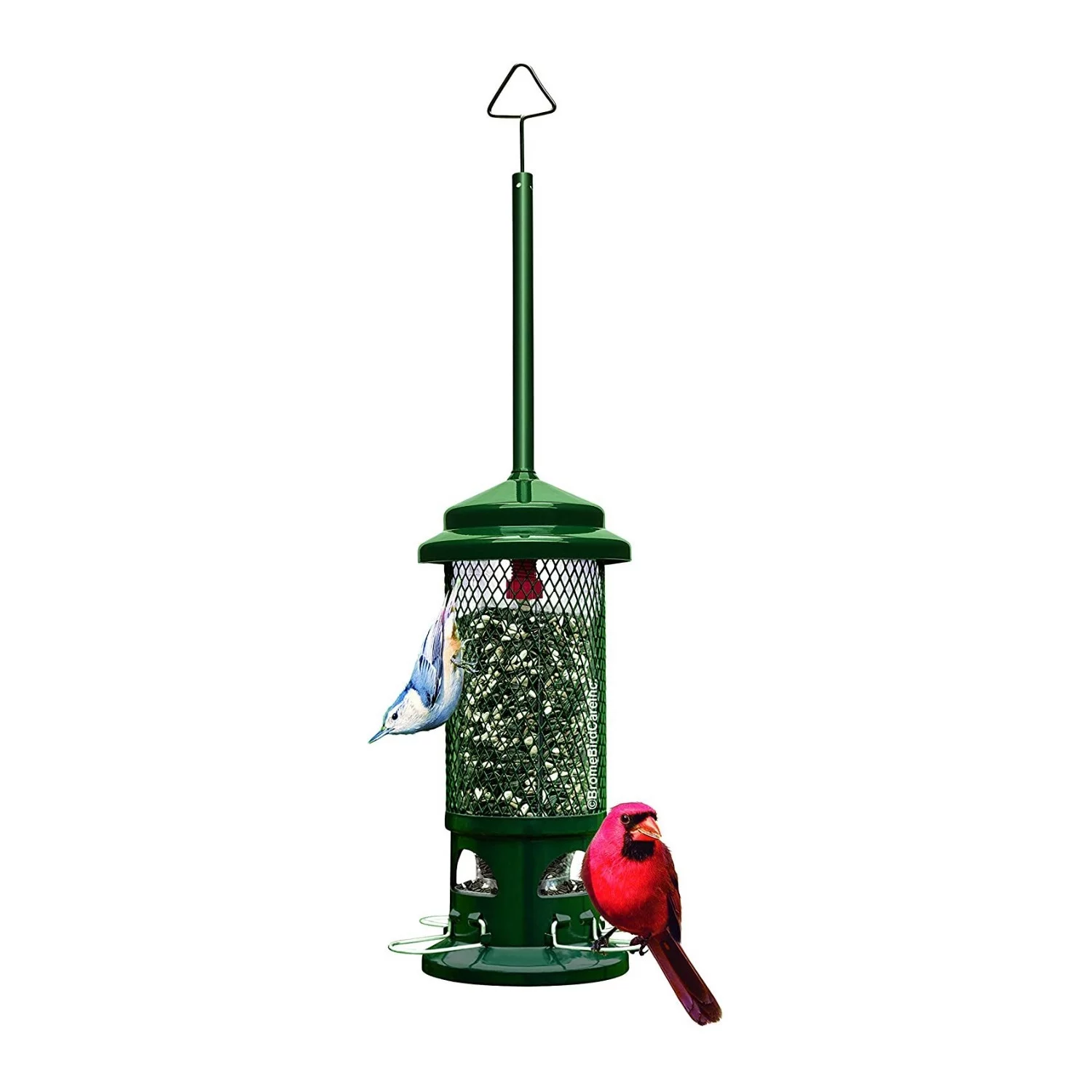Brome Squirrel Buster Squirrel-Proof Bird Feeder with 4 Metal Perches (2-Pack)