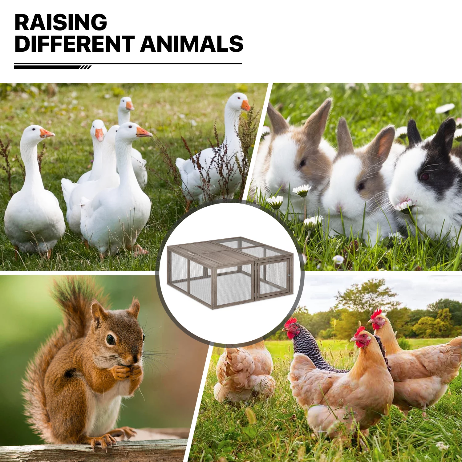 MoNiBloom Chicken Coop Rabbit Hutch, 45.5