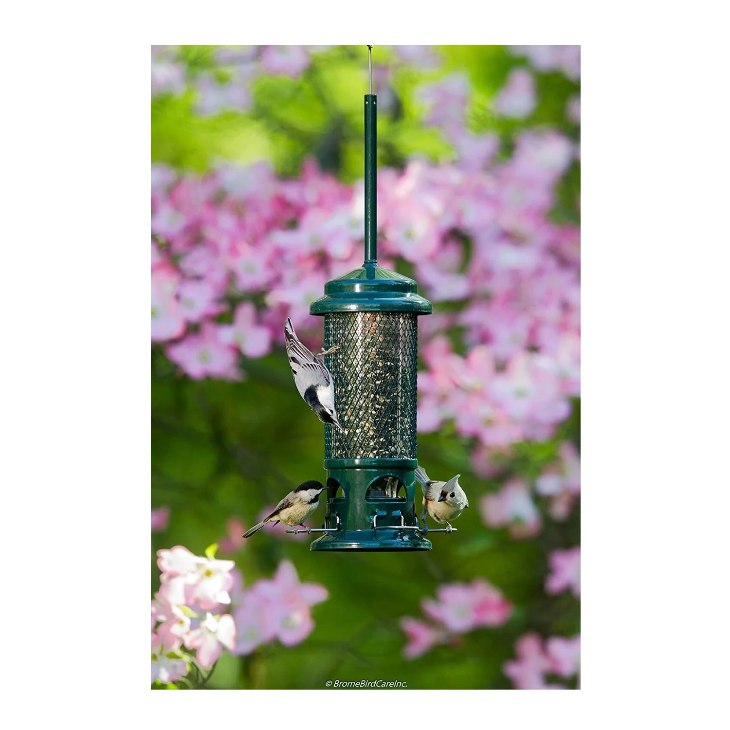 Brome Squirrel Buster Squirrel-Proof Bird Feeder with 4 Metal Perches (2-Pack)
