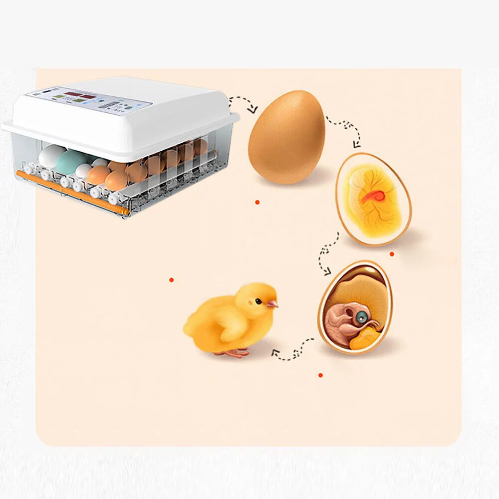 Egg Incubator 64 Eggs Fully Digital Automatic Hatcher for Hatching Chicken Farm