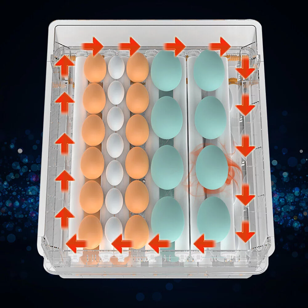 Egg Incubator 64 Eggs Fully Digital Automatic Hatcher for Hatching Chicken Farm