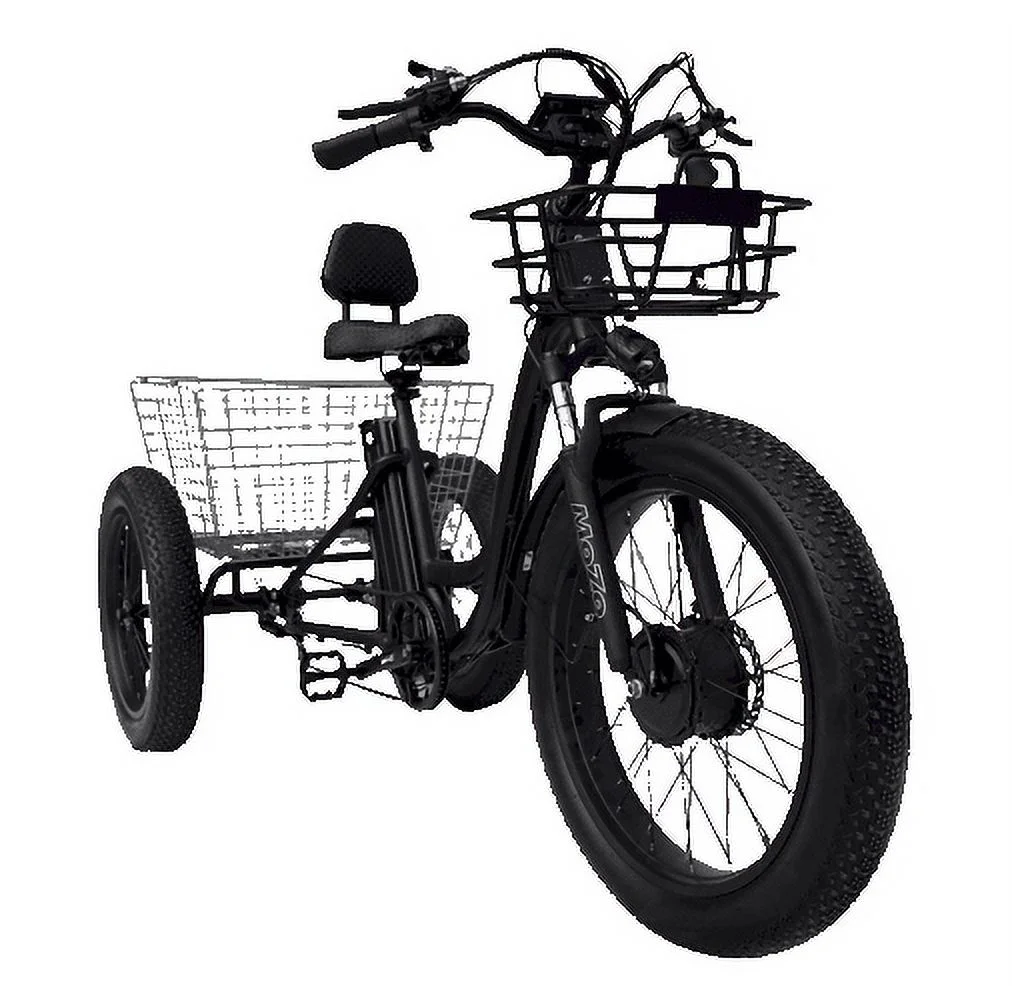 Fat Tire Electric Tricycle Trike 750W/1200W Power, All-Terrain Ride