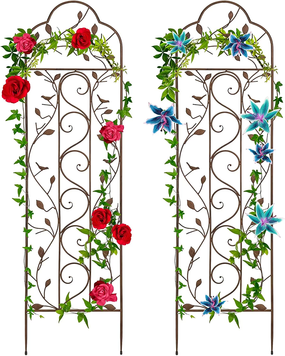 Set of 2 Iron Arched Garden Trellis w/ Branches, Birds for Lawn, Garden, Backyard, Climbing Plants, 60x15-inch
