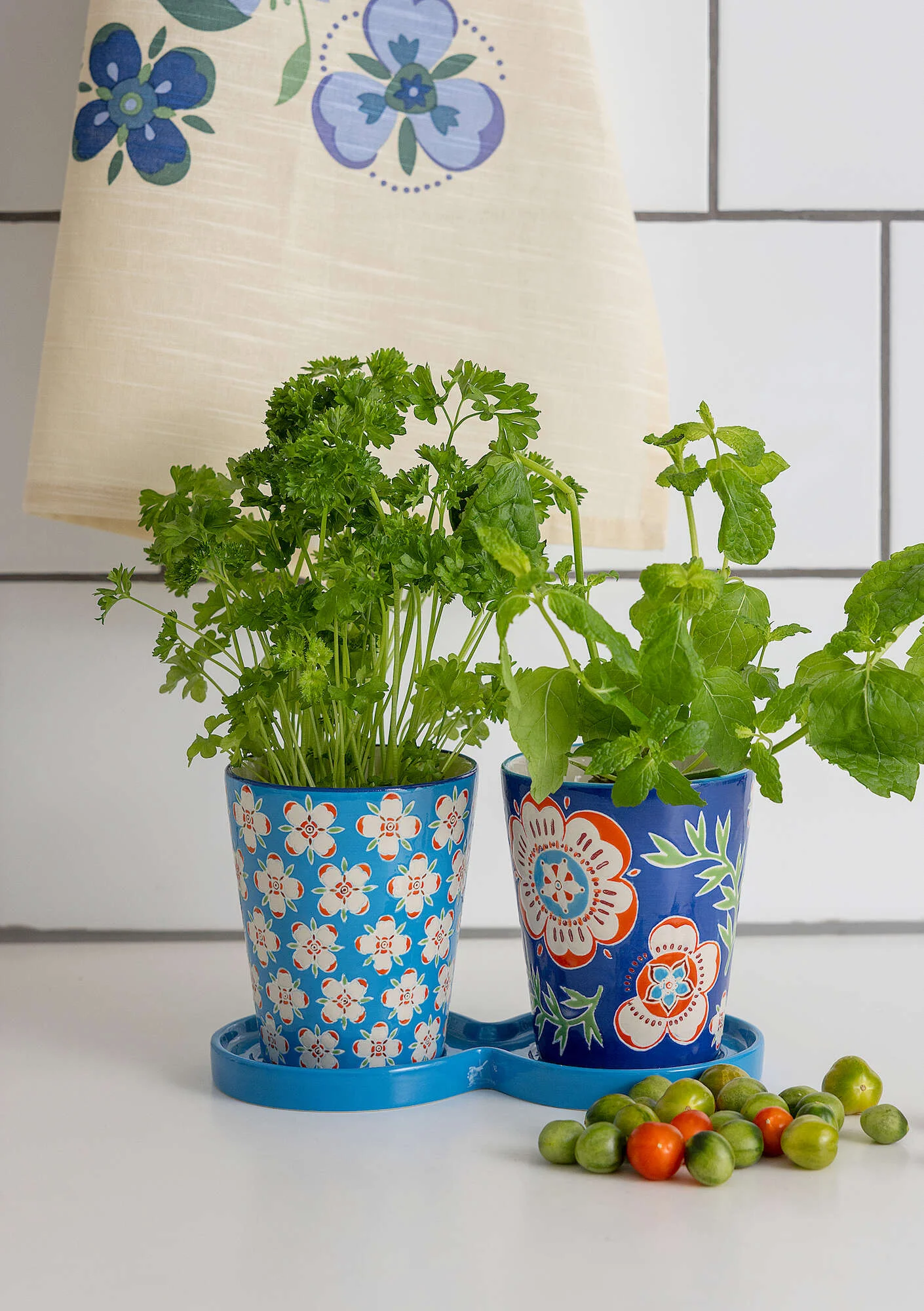 "Desert Bloom" ceramic herb pots