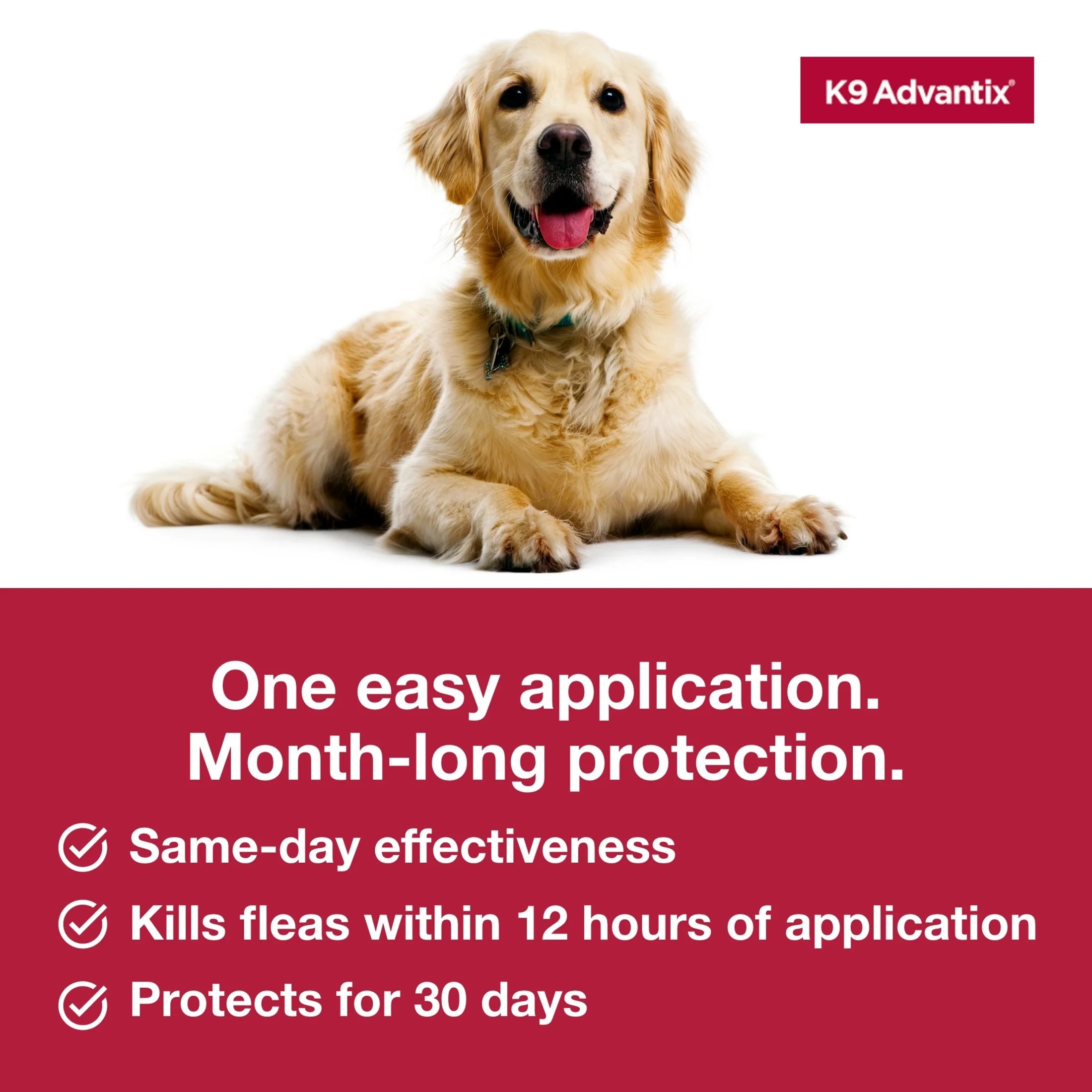 K9 Advantix Flea, Tick & Mosquito Prevention For Extra Large Dogs Over 55 Lbs, 2-Montly Treatments