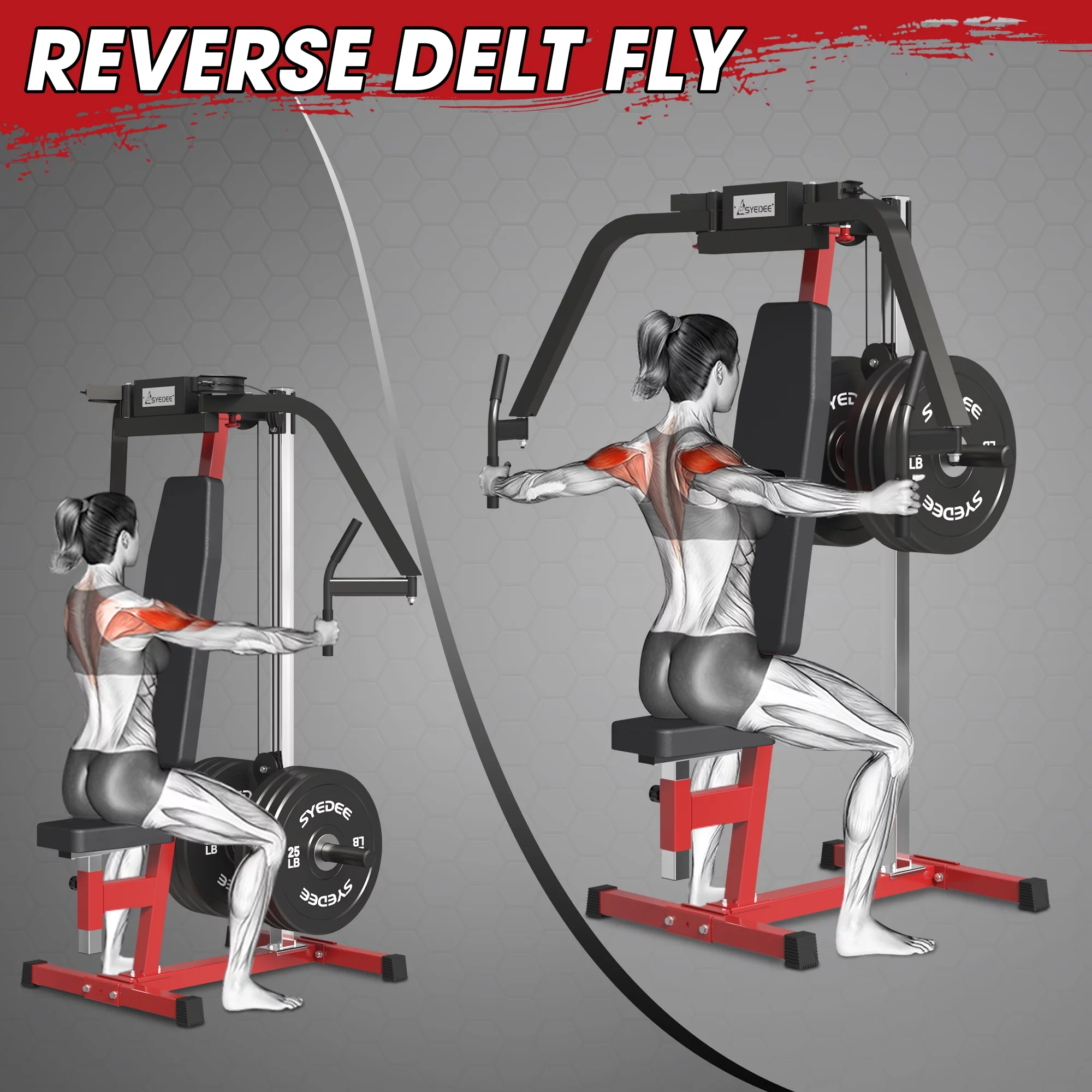 syedee Chest Fly and Reverse Delt Machine, 400 lbs Upper Body Specialty Machine for Pectoral and Rear Deltoid for Home Gym