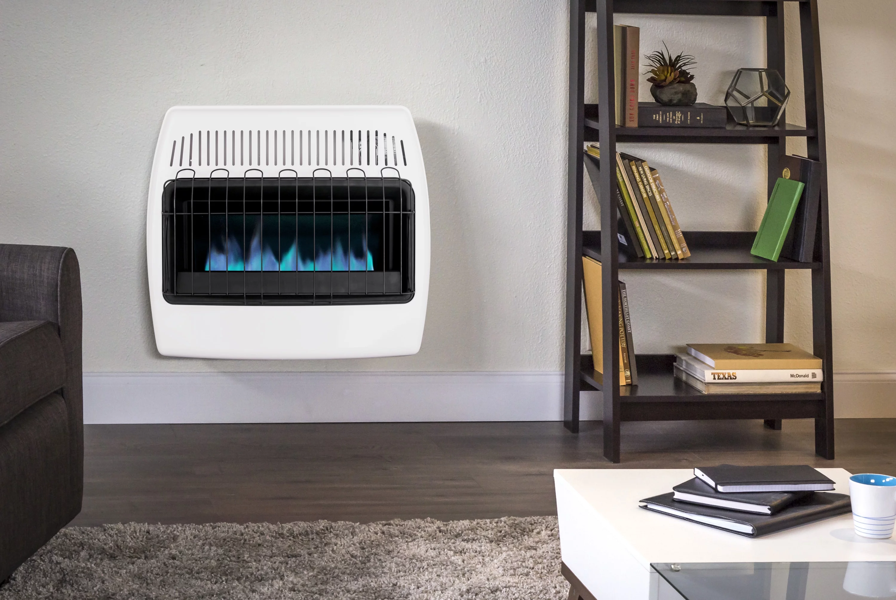 Dyna-Glo 30,000 BTU Natural Gas Blue Flame Vent Free Wall Heater