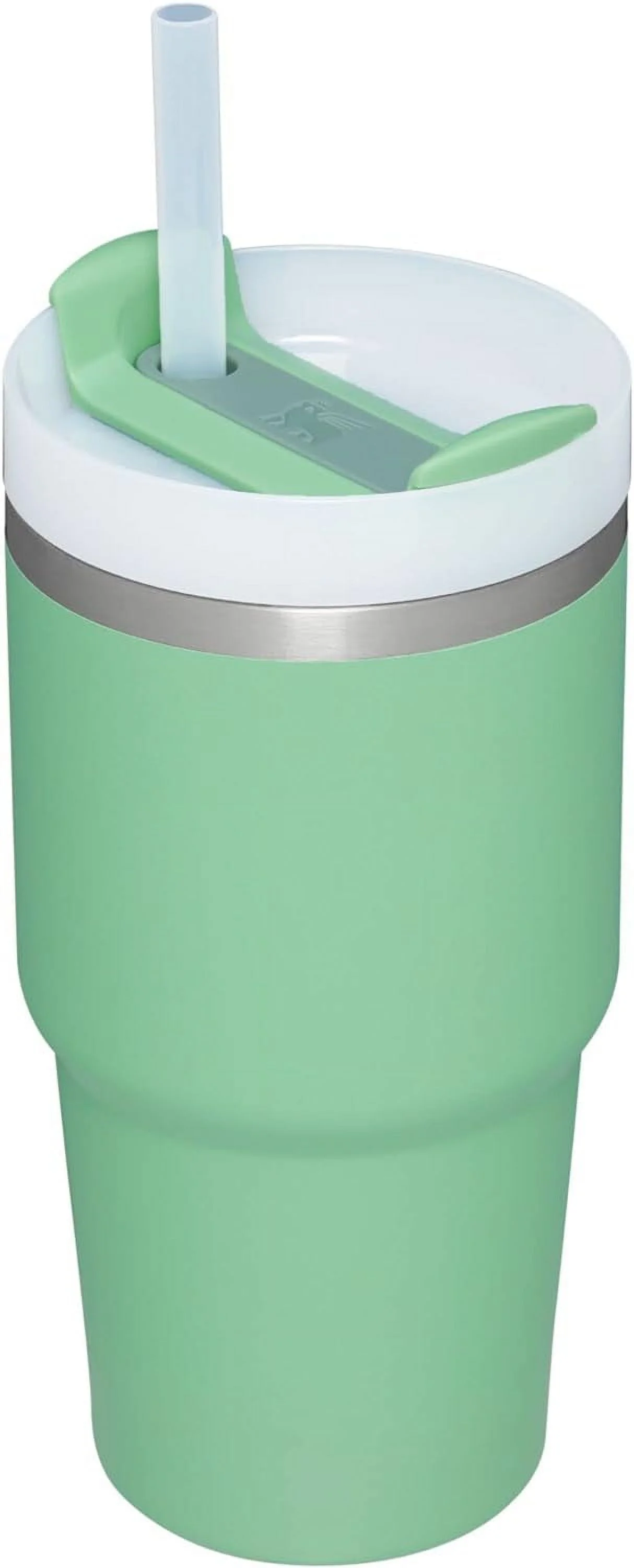 Stanley 20 oz. Quencher H2.0 FlowState Stainless Steel Tumbler (Jade)