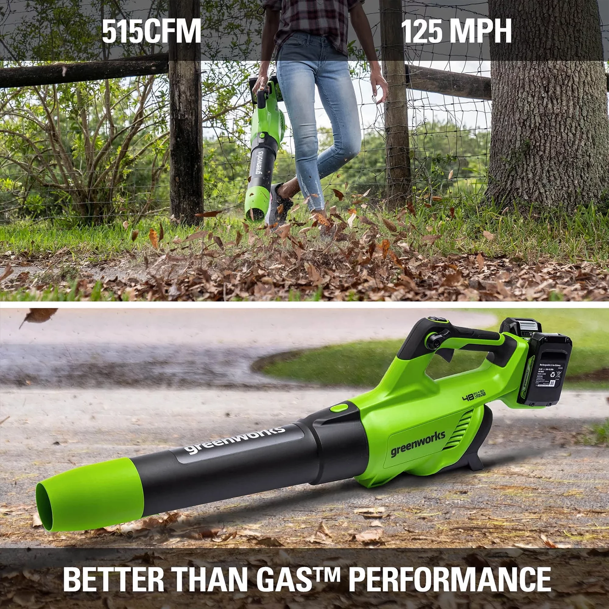 Greenworks 48V Brushless Leaf Blower 515CFM 125MPH with 2 (24V) 2.0Ah Batteries & 4A Dual Port Charger